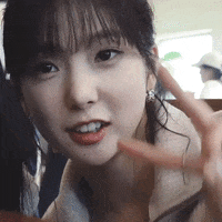 K Pop Peace GIF