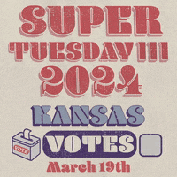 Vote Election GIF