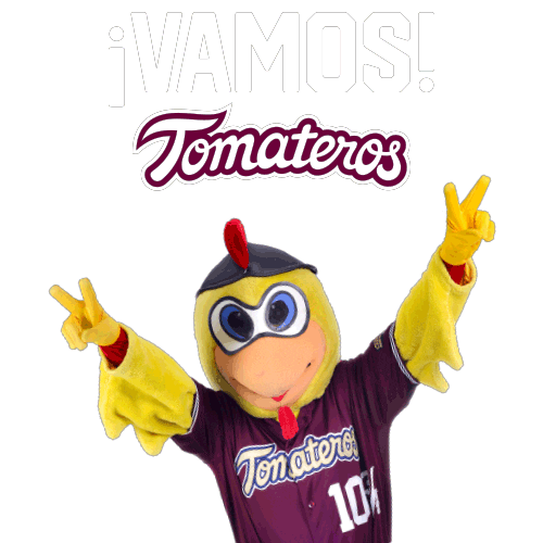 baseball vamos Sticker by Club Tomateros