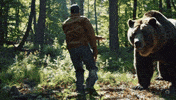 Bear Fighting GIF by Chess.com