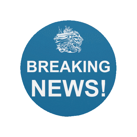 AmityFishCo giphyupload amity amityfishcompany amity fish co Sticker