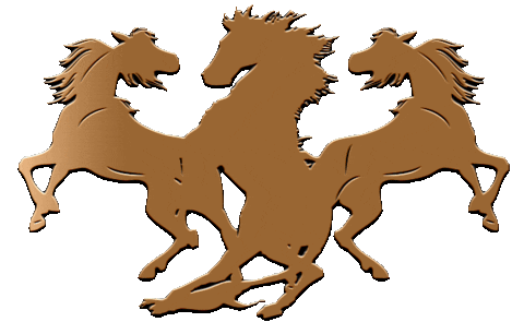 crazyhorse3lv giphyupload crazyhorse3 crazyhorse3lv Sticker
