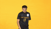 Sport Calstatela GIF by Cal State LA Golden Eagles