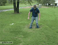 oo GIF