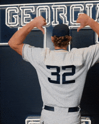 Georgia Tech Baseball GIF by Georgia Tech Yellow Jackets
