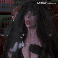 Sexy Drag Queen GIF by Arrow Video