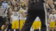 Game Day Football GIF by TransPerfect