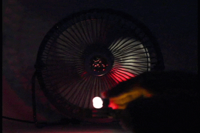 fan GIF