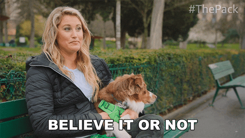 The Pack Dogs GIF by Amazon Prime Video