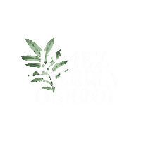 lamezcaleriadxb mezcaleria dubai mezcaleria oberoi Sticker