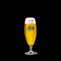 dithmarscher_brauerei beer king crown german GIF