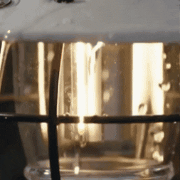 FamilyImport giphyupload GIF