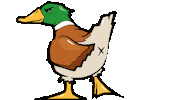 LABORWAKESKATE angry duck wake labor Sticker