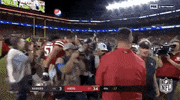 2018 Nfl Football GIF by NFL