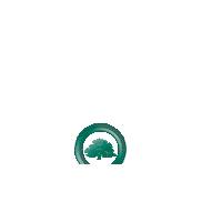 200Th Home Sale Sticker by Collins Group Realty