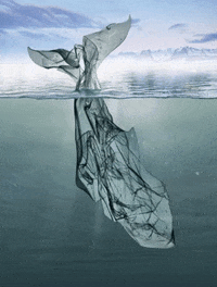 NoMorePlastic  GIF