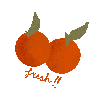 mirjamderuiter fresh vitamin c oranges oj Sticker