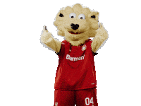 Bayer 04 Yes Sticker by Bayer 04 Leverkusen