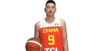 World Cup Sticker by FIBA