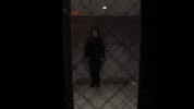 jimmy fallon television GIF