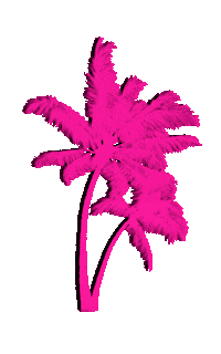 Palm Tree Pink Sticker by INFSD SWIMWEAR