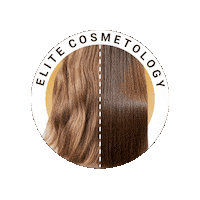 Hair Color Sticker by Elite Permanent Makeup & Training Center