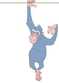 monkey STICKER