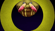 Animation Blooming GIF by Emanuele Kabu