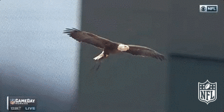 houston texans football GIF by NFL