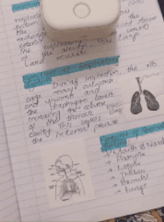 gif100010001000 giphygifmaker GIF