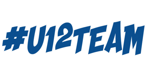 Tasskiracing Sticker by TASSkiTeam