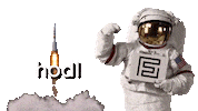 Crypto Sticker by FNDZ