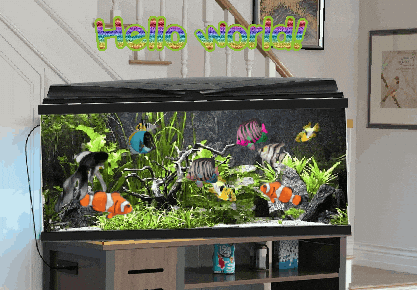 Fish Expression GIF