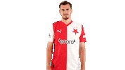 Football Soccer Sticker by SK Slavia Praha