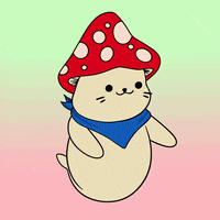 Dance Dancing GIF by Sappy Seals Community