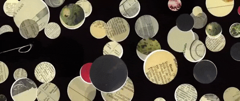 stephanedreyfus giphygifmaker archipel GIF