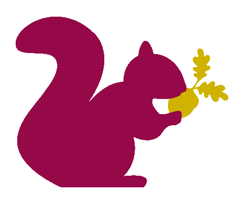 Fall Squirrel Sticker by Hickory Farms