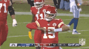 Regular Season No GIF by NFL