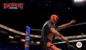 Lucha Libre Wwe GIF by Guerrero Maya