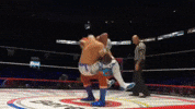 Go Lucha Libre GIF by Guerrero Maya