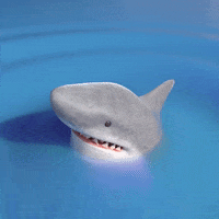Meme Ok GIF