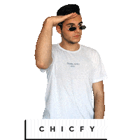 fashion buscar Sticker by Chicfy