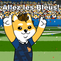 France Football GIF by Dogelon Mars