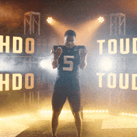 Football Nixon GIF by UCF Knights