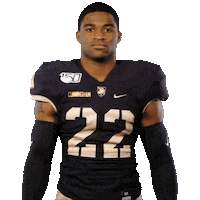 College Football Sticker by GoArmyWestPoint