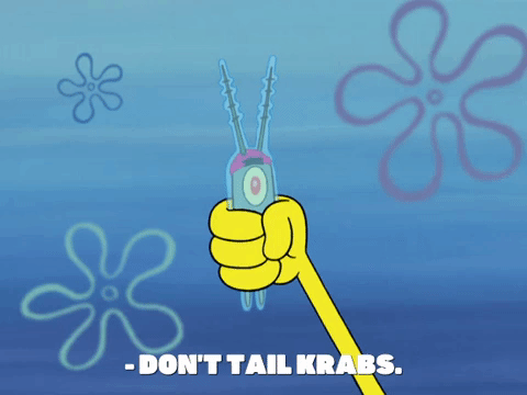 season 8 frozen face-off GIF by SpongeBob SquarePants