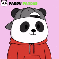 Ni Hao Panda GIF by Pandu Pandas