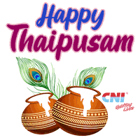 Happy Festival Sticker by CNI