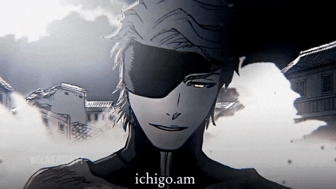 Bleach Tybw GIF