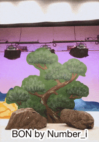 Japan Japanese GIF